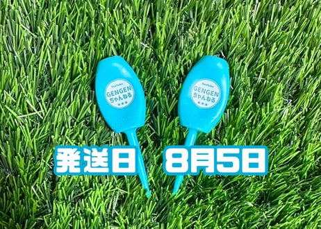 ※8月5日発送※●ターコイズ●　【パリティー】（5本）50セット限定