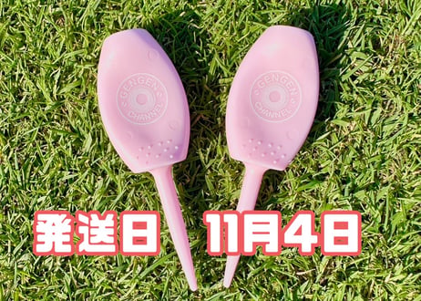 ※11月4日発送※●パステルピンク●　【パリティー】（5本）50セット限定