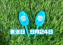 ※9月24日発送※●ターコイズ●　【パリティー】（5本）50セット限定