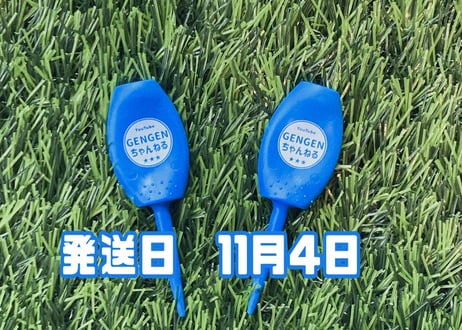 ※11月4日発送※●ブルー●　【パリティー】（5本）50セット限定