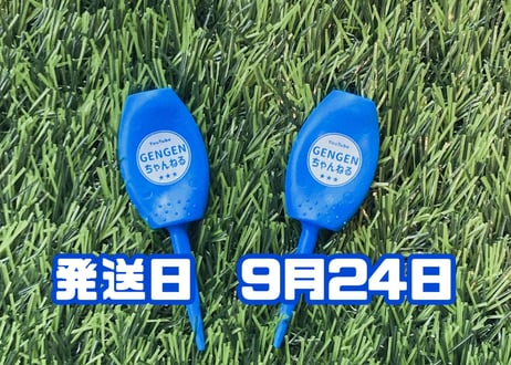 ※9月24日発送※●ブルー●　【パリティー】（5本）50セット限定