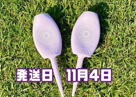 ※11月4日発送※●パステルパープル●　【パリティー】（5本）50セット限定