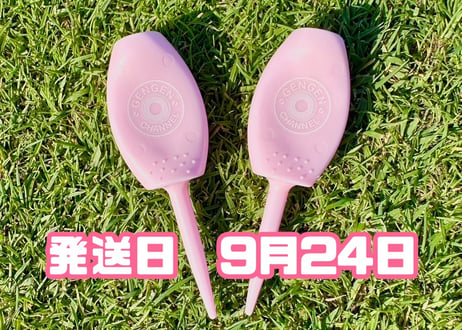 ※9月24日発送※●パステルピンク●　【パリティー】（5本）50セット限定