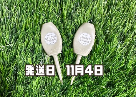 ※11月4日発送※●カーキ●　【パリティー】（5本）50セット限定