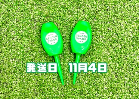 ※ 11月4日発送※●蛍光グリーン●【パリティー】（5本）50セット限定