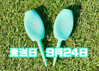 ※9月24日発送※●パステルグリーン●【パリティー】（5本）50セット限定