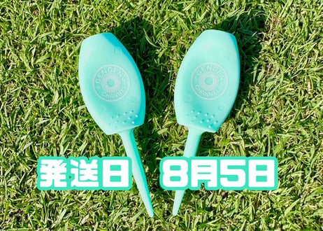 ※8月5日発送※●パステルグリーン●【パリティー】（5本）50セット限定