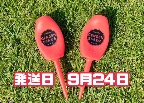 ※9月24日発送※●レッド●　【パリティー】（5本）50セット限定