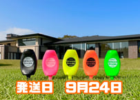※9月24日発送※●蛍光5色セット●【パリティー】（5本入)