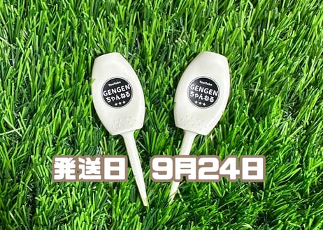 ※9月24日発送※●クリーム●　【パリティー】（5本）50セット限定
