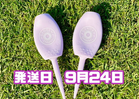 ※9月24日発送※●パステルパープル●　【パリティー】（5本）50セット限定