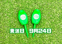 ※ 9月24日発送※●蛍光グリーン●【パリティー】（5本）50セット限定