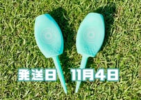 ※11月4日発送※●パステルグリーン●【パリティー】（5本）50セット限定