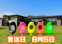 ※8月5日発送※●蛍光5色セット●【パリティー】（5本入)