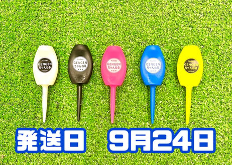 ※9月24日発送※●ミックス5色セット●【パリティー】（5本入)
