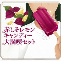 【今年も製造決定‼︎】赤しそレモンだけの８本セット【TVで紹介されました‼︎】