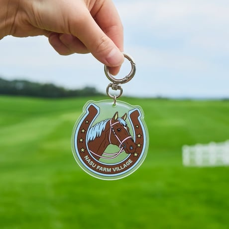Horseshoe Acrylic Keychain