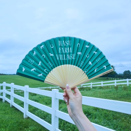 Folding Fan