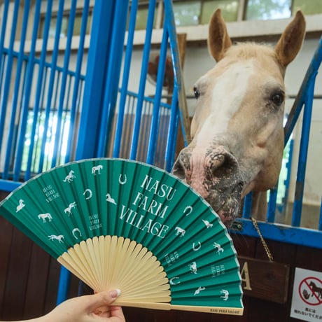 Folding Fan
