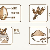 焙煎グラハム×酵母スコーン