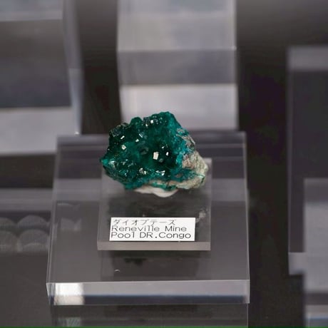 〈真実の愛と再生〉【希少・コンゴ産】ハイグレード ダイオプテース 大きめ原石