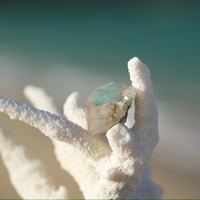 〈たましいの絆と真実の愛と共に幸せに生きる〉【超希少・オールドストック／クッキリグリーン・アジョイト（アホーアイト）入り水晶　ポイント原石・18g】