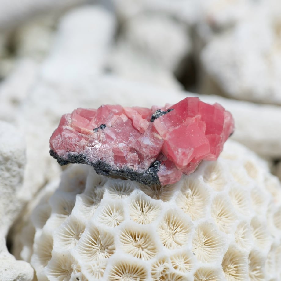 6ab7d34d9097120edf15c919