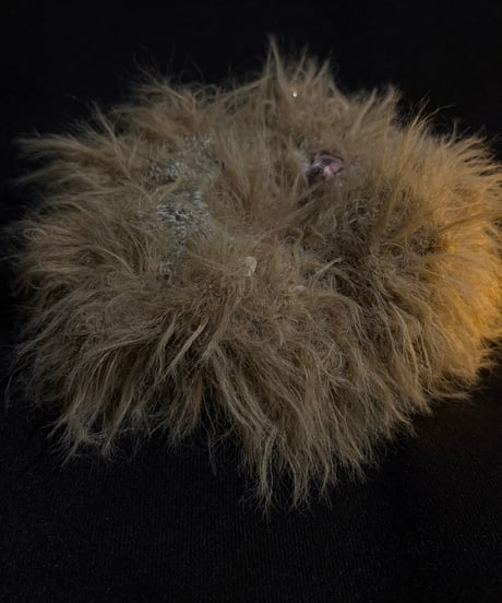 volume fur chouchou