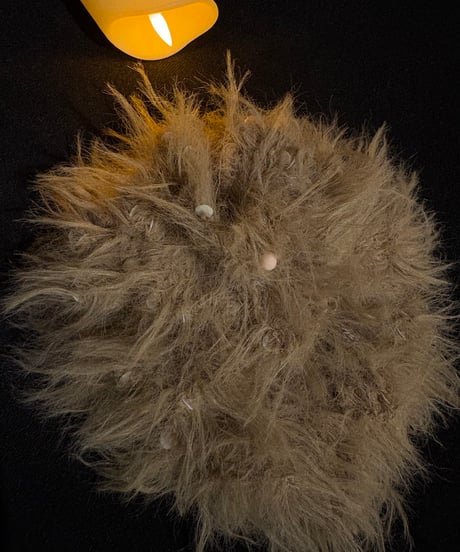 volume fur chouchou