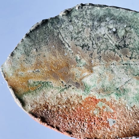 Fー38 古谷和也　信楽葉皿　    Kazuya Furutani – Shigaraki Leaf Plate