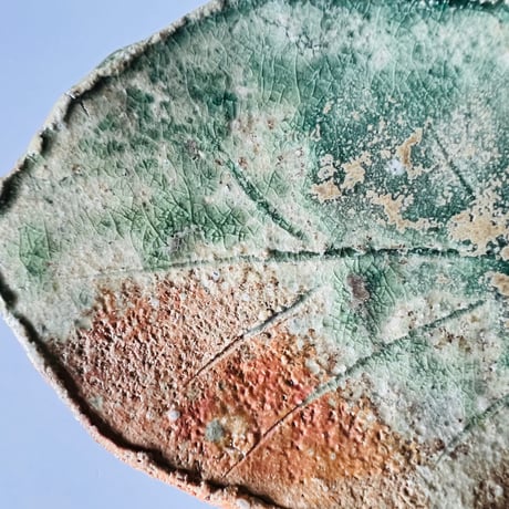 Fー39 古谷和也　信楽葉皿　    Kazuya Furutani – Shigaraki Leaf Plate