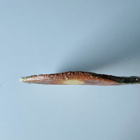 Fー37 古谷和也　信楽葉皿　    Kazuya Furutani – Shigaraki Leaf Plate