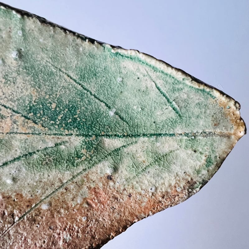 Fー40 古谷和也 信楽葉皿 Kazuya Furutani – Shigaraki Leaf