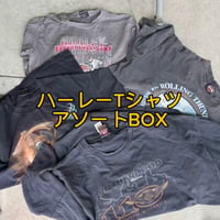 【入手困難】ハーレー半袖Tシャツ・ロンTMIXアソート10点