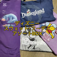 【世界中で人気！】ディズニースウェット・フーディ　10点
