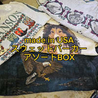 【限定一点】US製スウェットパーカーアソートBOX 10点