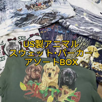 【人気の動物！】US製アニマルスウェット・パーカーアソートBOX 10点