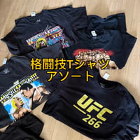 【1セット限定】格闘技Tシャツアソート10点