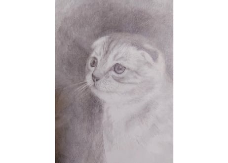 小さな命