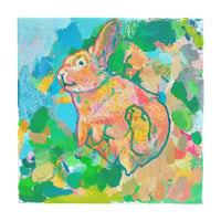 Rabbit