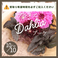 【10月10日（土）】サプライズダリアブーケ《ダリアとガーデンマム祭会場内での受取》