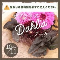 【10月11日（日）】サプライズダリアブーケ《ダリアとガーデンマム祭会場内での受取》