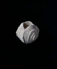 81) 胎　径7cm（素材：陶）