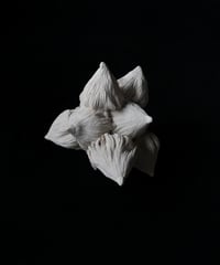 30) 種　幅•奥行•高さ12cm（素材：陶）