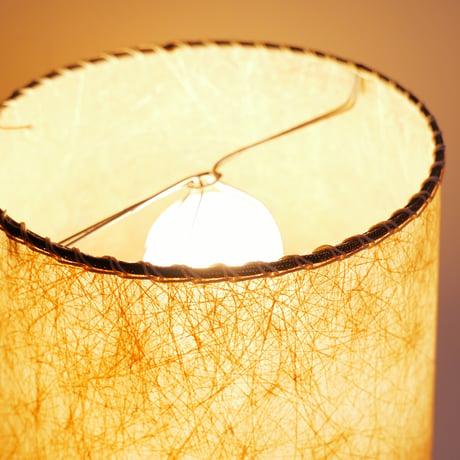 50s Fiber glass lamp