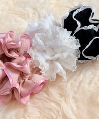 ドットイヤーシュシュ