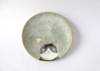 ひのもと工作室 大野和世ねこの小皿 ハチワレ３