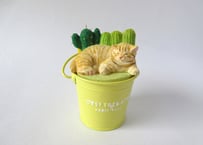 あたり工房　木彫り猫の小物入れ ＊チャトラ猫