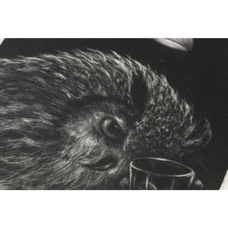 【特装版】寺澤智恵子 作品集　まいにちの、すてきないろいろ + ミニ原画 + 小冊子絵本 ぽぽちゃんのにちようび セット