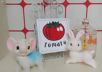TOMATO🍅アイアン壁掛けレターラック
